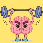 Perfect Brain 3D Puzzle
